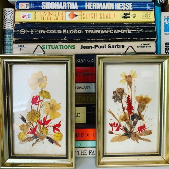 Vintage Other - Vintage pressed flower pictures